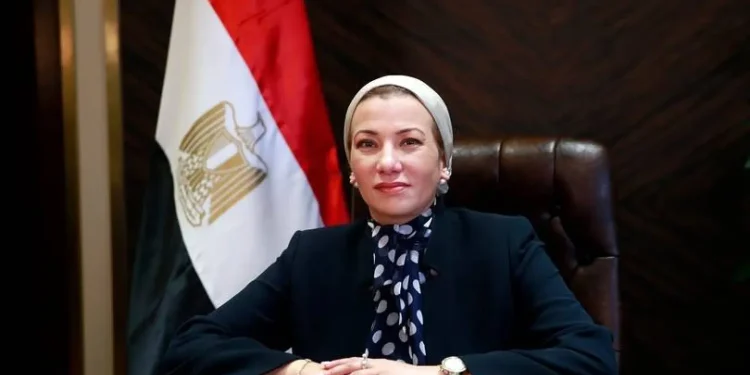 من قطع الأشجار إلى إنقاذ الصحراء.. ياسمين فؤاد تتحدى المنطق في الأمم المتحدة!