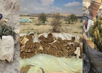 الداخلية تضرب بـ «يد من حديد» ضبط 27 طن مخدرات بقيمة 1.6 مليار (صور)