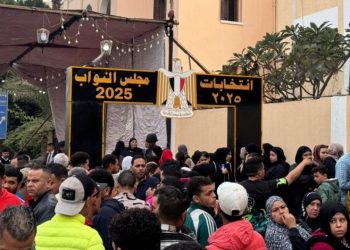 ثورة النزاهة: المرحلة الثانية من انتخابات النواب 2025.. أصدق وأنقى انتخابات شهدتها مصر في تاريخها!
