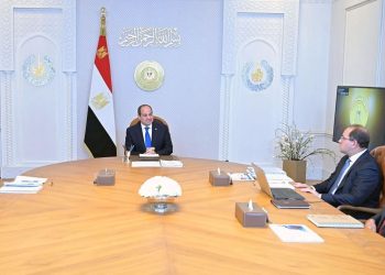 وزير المالية للرئيس السيسي: ثقة القطاع الخاص في الاقتصاد المصري سمح بعقد صفقات مثل “رأس الحكمة