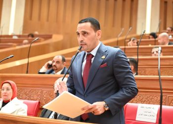 النائب إسلام التلواني: فرض الرسوم على الهواتف يشكل عبء كبير على المصريين بالخارج