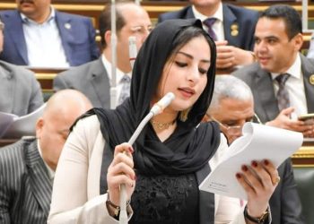 النائبة الدكتورة آيات الحداد