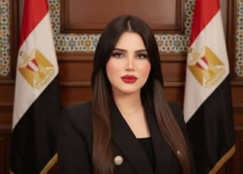 النائبة ريهام أبو الحسن