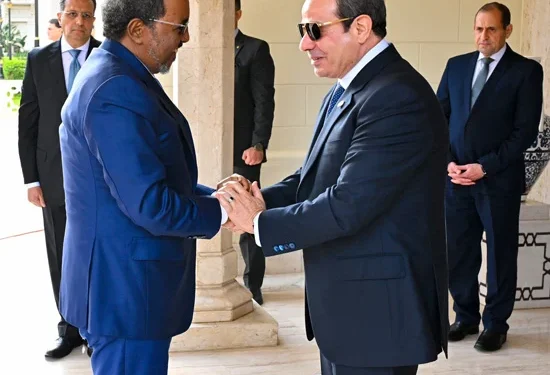 الرئيس السيسي يستقبل رئيس جمهورية الصومال لبحث تعزيز العلاقات الثنائية والقضايا الإقليمية