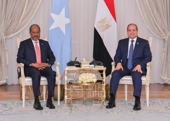 السيسي: مصر ترفض أي مساس بأمن وسيادة الصومال