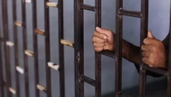 ضبط المتهمين بعد سرقة 35 كشافًا و11 عمود إنارة داخل قرية بسمسطا