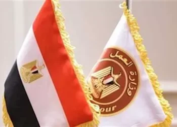 العمل: الحماية الاجتماعية للقطاع غير الرسمي أولوية وطنية في مسار التنمية الشاملة