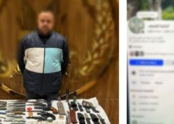 ضربة أمنية ضد مروّجي الأسلحة عبر الإنترنت