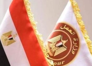 5456 فرصة عمل جديدة في 14 محافظة… الدولة تفتح أبواب الرزق للشباب
