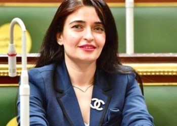 إيريني سعيد: بنك الجلود ليس بدعة.. ورد حاسم على الجدل حول مقترح إنقاذ ضحايا الحروق