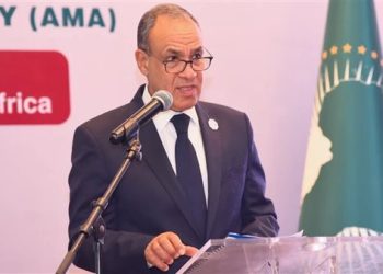 وزير الخارجية: نؤكد ضرورة الدفع بالحلول الدبلوماسية لتعزيز الأمن والتنمية في إفريقيا