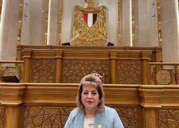 هناء أنيس