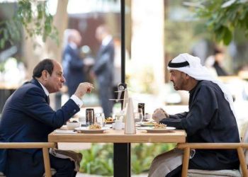 الرئيس السيسي ونظيره الإماراتي