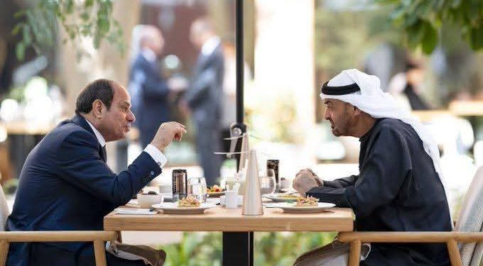 الرئيس السيسي ونظيره الإماراتي