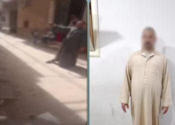 علقه في عمود نور.. القبض على شخص حاول إنهاء حياة كلب ضال شنقــ.ـــا بطنطا