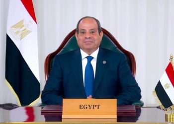 السيسي يؤكد دعم مصر لوحدة الصومال ويبحث تعزيز التعاون الثنائي