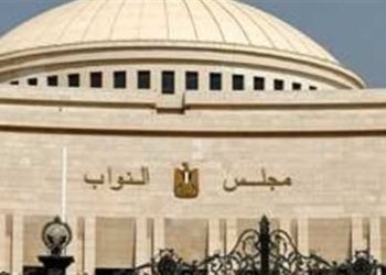 بطلان انتخابات منيا القمح بالشرقية وإلغاء فوز نائبين بعد حكم النقض