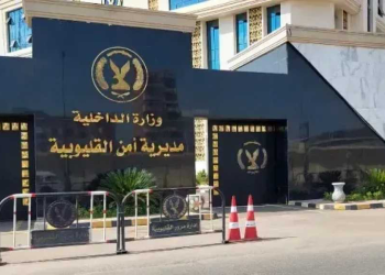 النيابة تستدعي عمدة قرية ميت عاصم وتواصل التحقيق في حادثة التعدي على شاب بالقليوبية