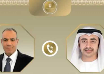 اتصال هاتفي بين وزيري خارجية مصر والإمارات حول التعاون الإقليمي وأوضاع غزة