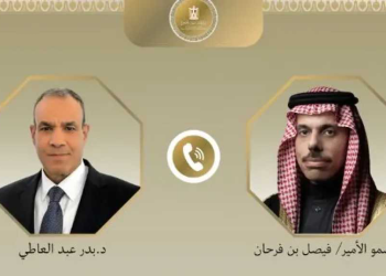اتصال هاتفي بين وزيري خارجية مصر والسعودية حول البحر الأحمر وغزة والأوضاع الإقليمية