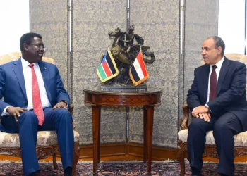 مصر وجنوب السودان تبحثان تعزيز التعاون وأمن النيل