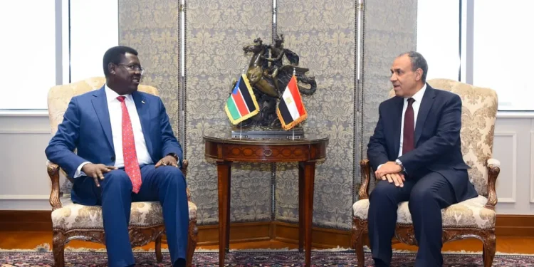 مصر وجنوب السودان تبحثان تعزيز التعاون وأمن النيل