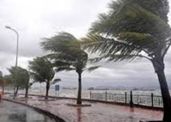 شبورة مائية وأمطار خفيفة.. تفاصيل حالة الطقس غدًا الأربعاء